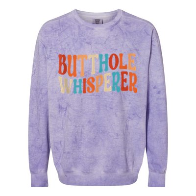 Butthole Whisperer Retro Sarcastic Jokes Funny Colorblast Crewneck Sweatshirt