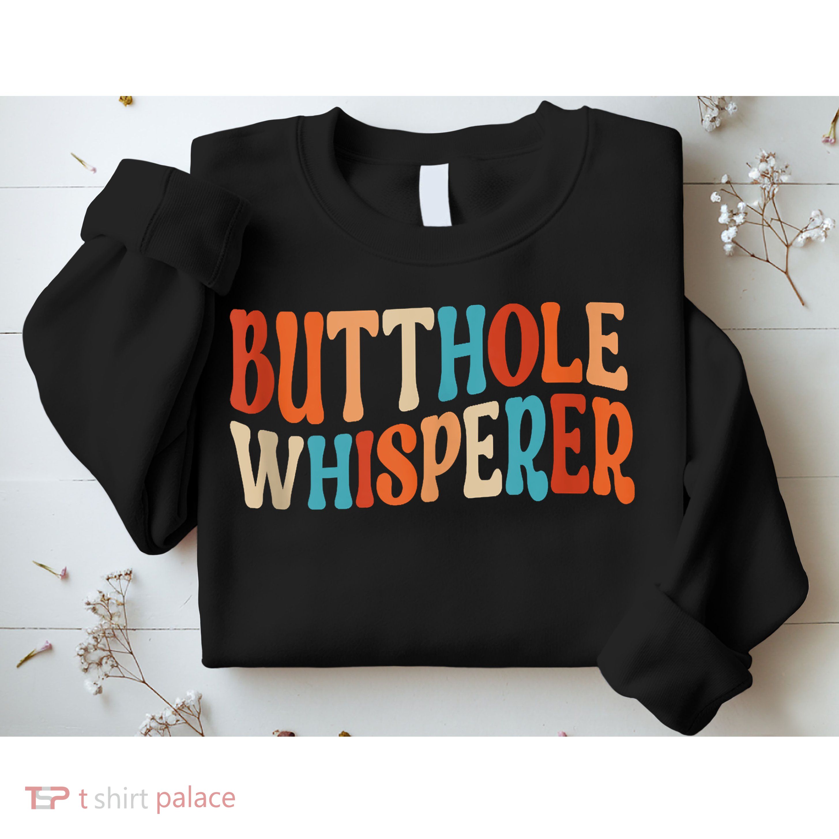 Butthole Whisperer Retro Sarcastic Jokes Funny Sweatshirt