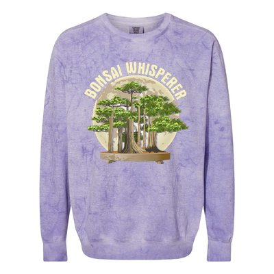 Bonsai Whisperer Retro Gardener Nature Bonsai Tree Lover Colorblast Crewneck Sweatshirt