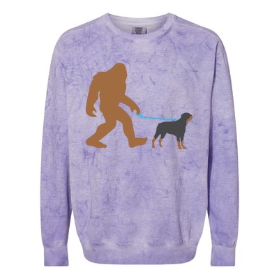 Bigfoot Walking Rottweiler Dog Funny Sasquatch Gift Colorblast Crewneck Sweatshirt