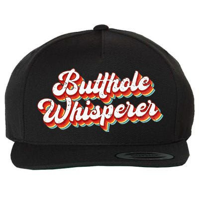 Butthole Whisperer Sarcastic Jokes Retro Wool Snapback Cap