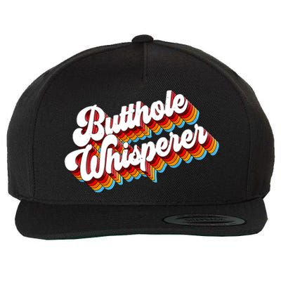 Butthole Whisperer Sarcastic Jokes Retro Wool Snapback Cap