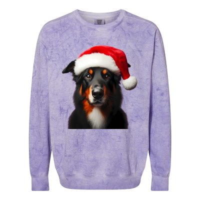 Beauceron With Santa Hat Christmas Dog Owner Lover Xmas Mom Gift Colorblast Crewneck Sweatshirt