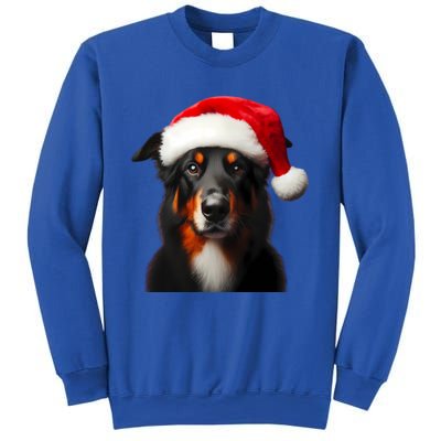 Beauceron With Santa Hat Christmas Dog Owner Lover Xmas Mom Gift Sweatshirt