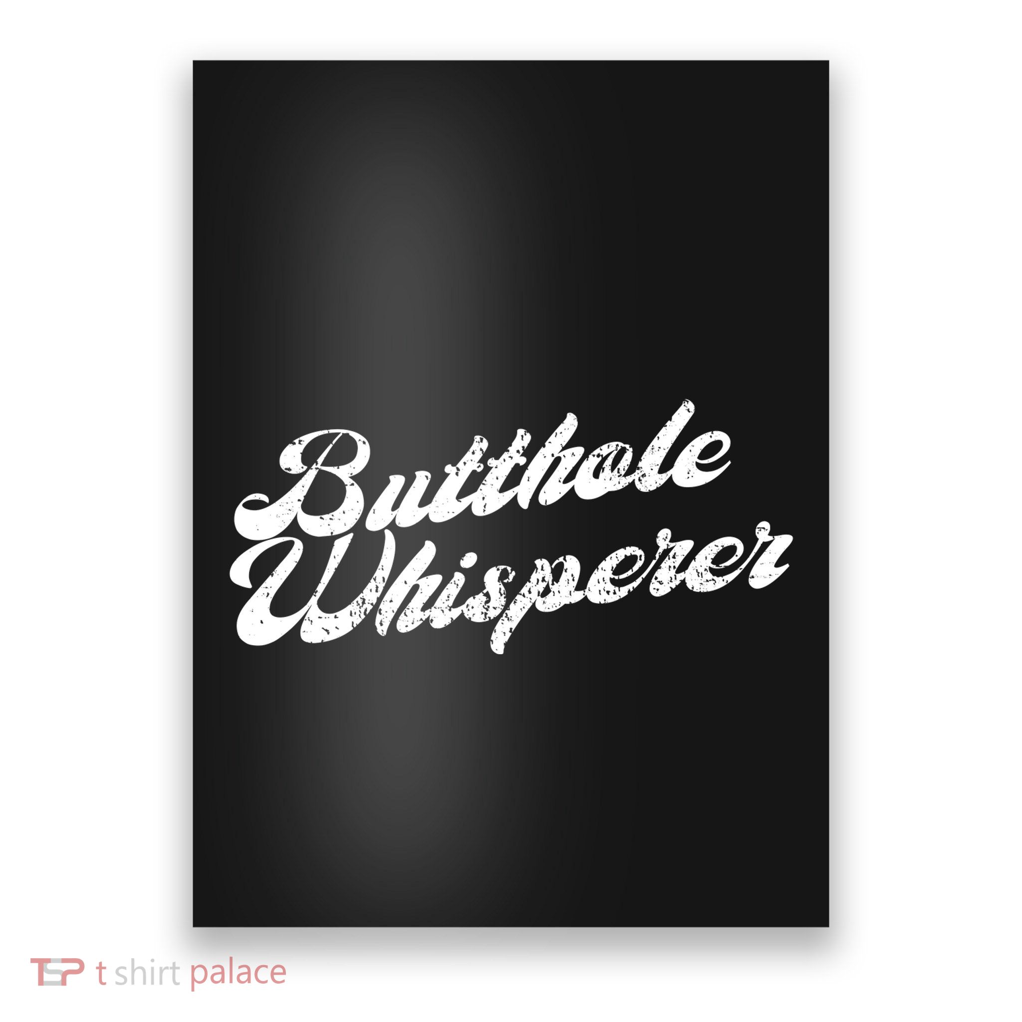 Butthole Whisperer Sarcastic Jokes Retro Funny Poster