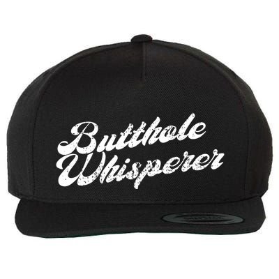 Butthole Whisperer Sarcastic Jokes Retro Funny Wool Snapback Cap