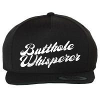 Butthole Whisperer Sarcastic Jokes Retro Funny Wool Snapback Cap
