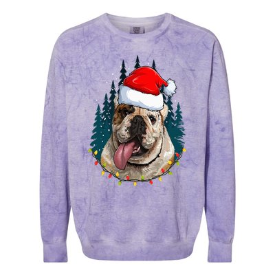 Bulldog Wearing Santa Hat Xmas Bulldog Lover Christmas Colorblast Crewneck Sweatshirt