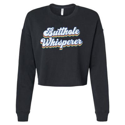 Butthole Whisperer Sarcastic Jokes Retro Funny Sarcastic Cropped Pullover Crew