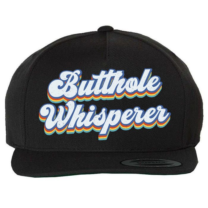 Butthole Whisperer Sarcastic Jokes Retro Funny Sarcastic Wool Snapback Cap