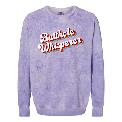 Butthole Whisperer Sarcastic Jokes Retro Funny Colorblast Crewneck Sweatshirt