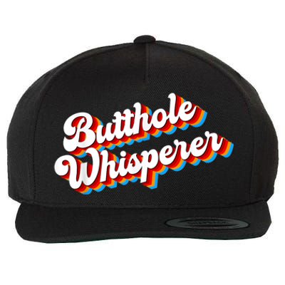 Butthole Whisperer Sarcastic Jokes Retro Funny Wool Snapback Cap