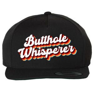 Butthole Whisperer Sarcastic Jokes Retro Funny Gift Wool Snapback Cap