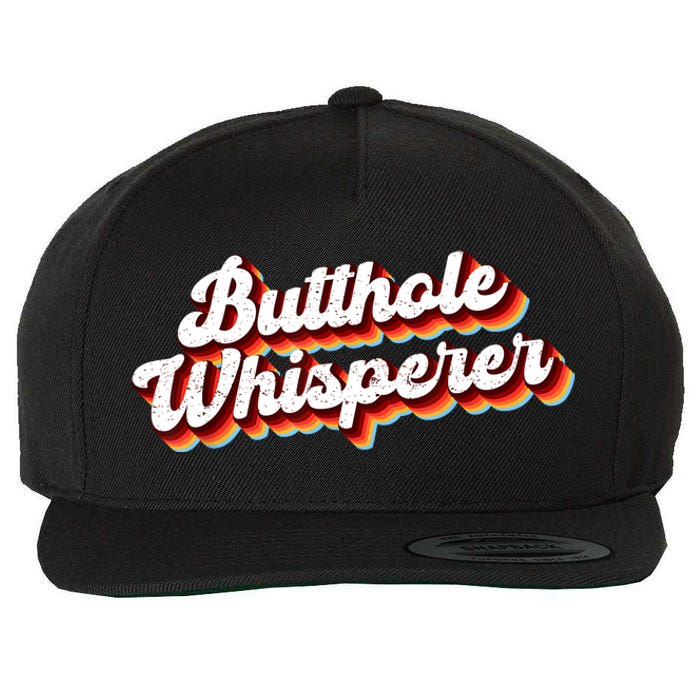 Butthole Whisperer Sarcastic Jokes Retro Funny Gift Wool Snapback Cap