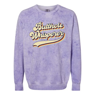 Butthole Whisperer Sarcastic Jokes Retro Vintage Trending Colorblast Crewneck Sweatshirt