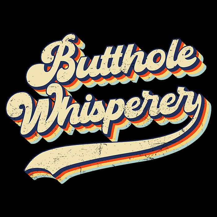 Butthole Whisperer Sarcastic Jokes Retro Vintage Trending Women's Crop Top Tee