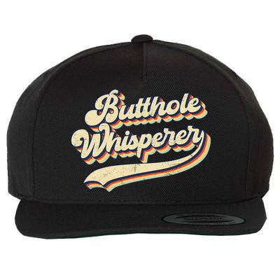 Butthole Whisperer Sarcastic Jokes Retro Vintage Trending Wool Snapback Cap
