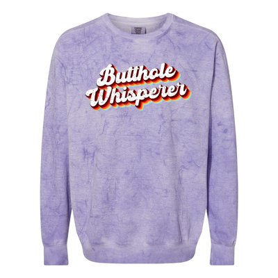 Butthole Whisperer Sarcastic Jokes Retro Funny Gift Colorblast Crewneck Sweatshirt