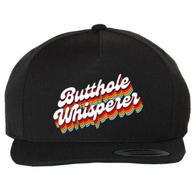 Butthole Whisperer Sarcastic Jokes Retro Wool Snapback Cap