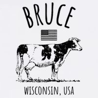 Bruce Wisconsin Usa Retro Cow Vintage Hat