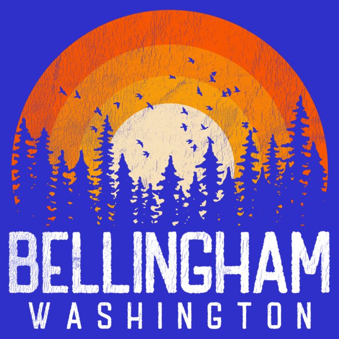 Bellingham Washington Wa Gift Retro 70s 80s Vintage Gift Great Gift Visor