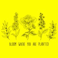 Bloom Where You Are Planted Grow Flower Plants 11oz C Handle Ceramic Mug