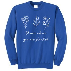 Bloom Where You Are Planted Tal Health Awareness Gift Sweatshirt