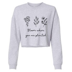 Bloom Where You Are Planted Tal Health Awareness Gift Cropped Pullover Crew