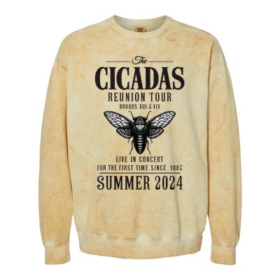 Brood Xiii Xix Summer 2024 Colorblast Crewneck Sweatshirt