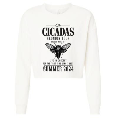 Brood Xiii Xix Summer 2024 Cropped Pullover Crew