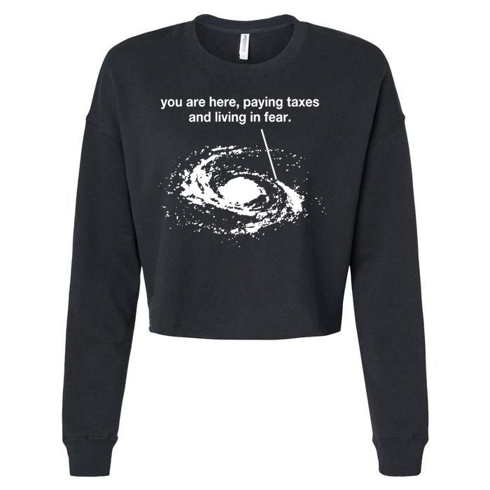 Bricksnpapers You Are Here Paying Taxes And Living In Fear Cropped Pullover Crew