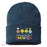 Because You Are Smarties Test Day Teacher Testing Day Exam Sustainable Knit Beanie