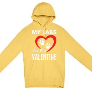 Black Yellow Chocolate Lab Are My Valentine's Day Labrador Gift Premium Pullover Hoodie