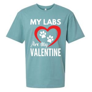 Black Yellow Chocolate Lab Are My Valentine's Day Labrador Gift Sueded Cloud Jersey T-Shirt