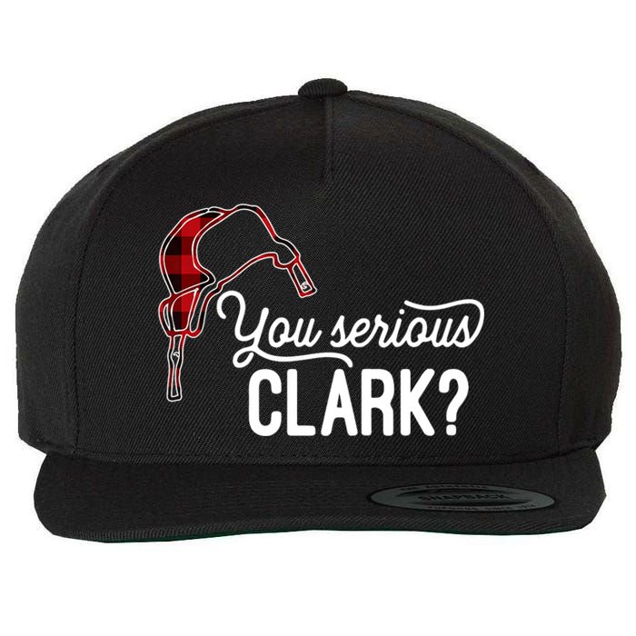 Bleached You Serious Clark Merry Christmas Funny Christmas TShirt Wool Snapback Cap