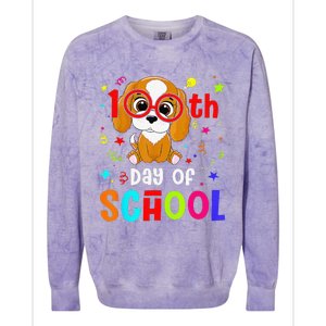 Cute 100th Day Of School Dog 100 Days Student Teacher Colorblast Crewneck Sweatshirt