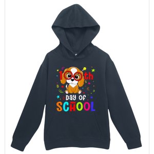 Cute 100th Day Of School Dog 100 Days Student Teacher Urban Pullover Hoodie