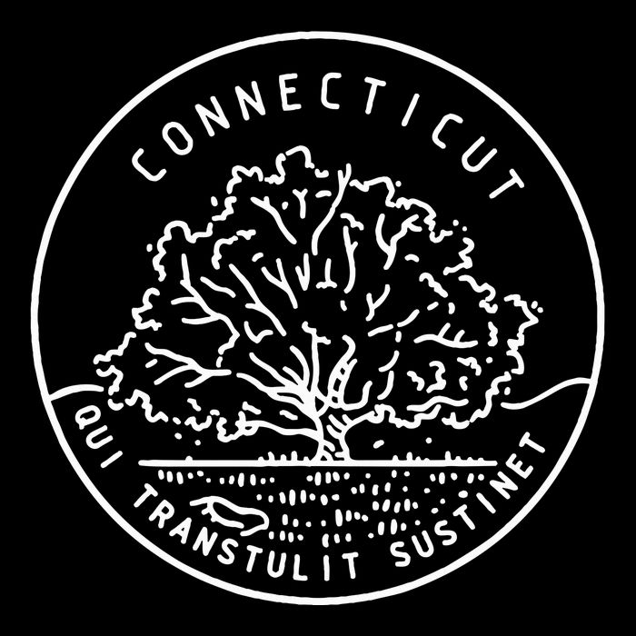 Connecticut 1788 State Of Connecticut Cooling Performance Crew T-Shirt
