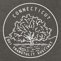 Connecticut 1788 State Of Connecticut Cotton Canvas Backpack