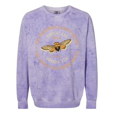 Cicada 2024 Brood Xix & Xiii Co Emergence Magicicada Vintage Colorblast Crewneck Sweatshirt