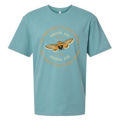 Cicada 2024 Brood Xix & Xiii Co Emergence Magicicada Vintage Sueded Cloud Jersey T-Shirt