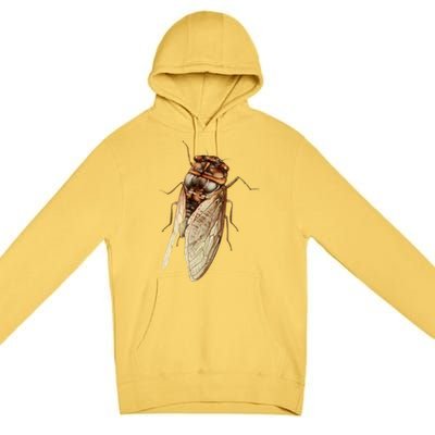 Cicada 2024 Premium Pullover Hoodie