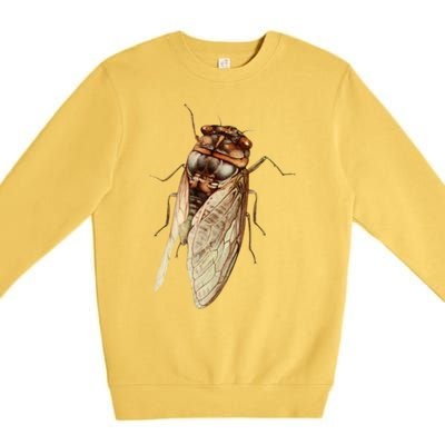 Cicada 2024 Premium Crewneck Sweatshirt