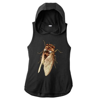 Cicada 2024 Ladies PosiCharge Tri-Blend Wicking Draft Hoodie Tank