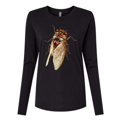 Cicada 2024 Womens Cotton Relaxed Long Sleeve T-Shirt