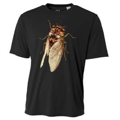 Cicada 2024 Cooling Performance Crew T-Shirt