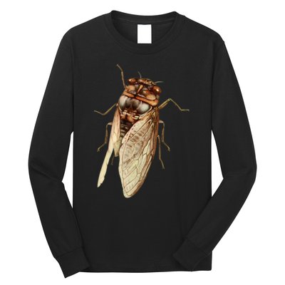 Cicada 2024 Long Sleeve Shirt