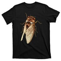 Cicada 2024 T-Shirt