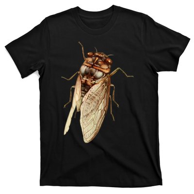 Cicada 2024 T-Shirt