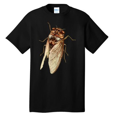 Cicada 2024 Tall T-Shirt